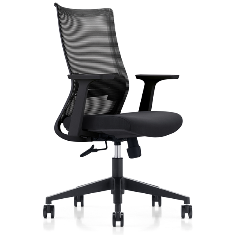 LDR ErgoLite Max Ergonomic Office/Gaming Chair (Black)