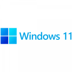 Windows 11 Pro OEM DVD Pack